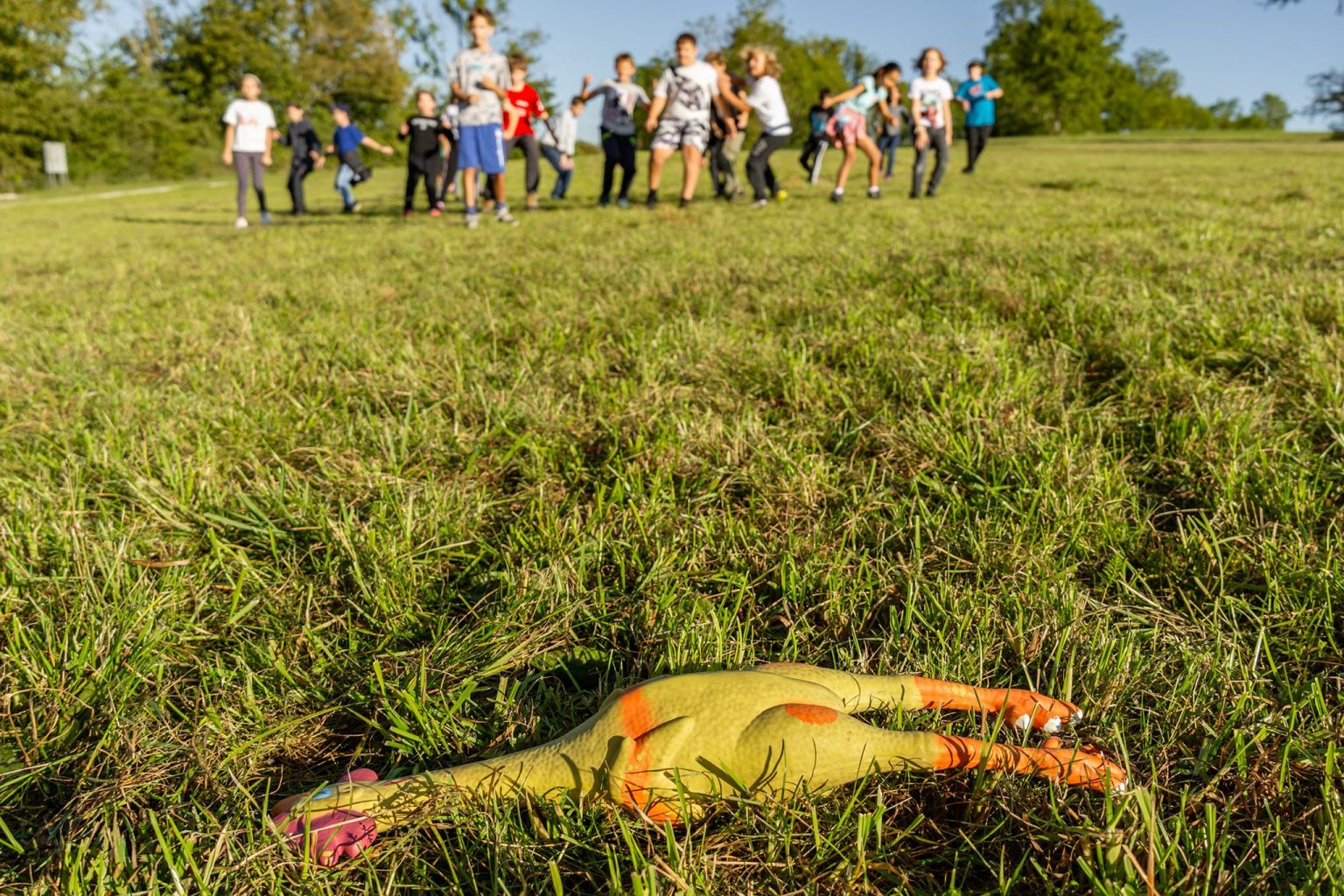 Gemeinschaft erleben