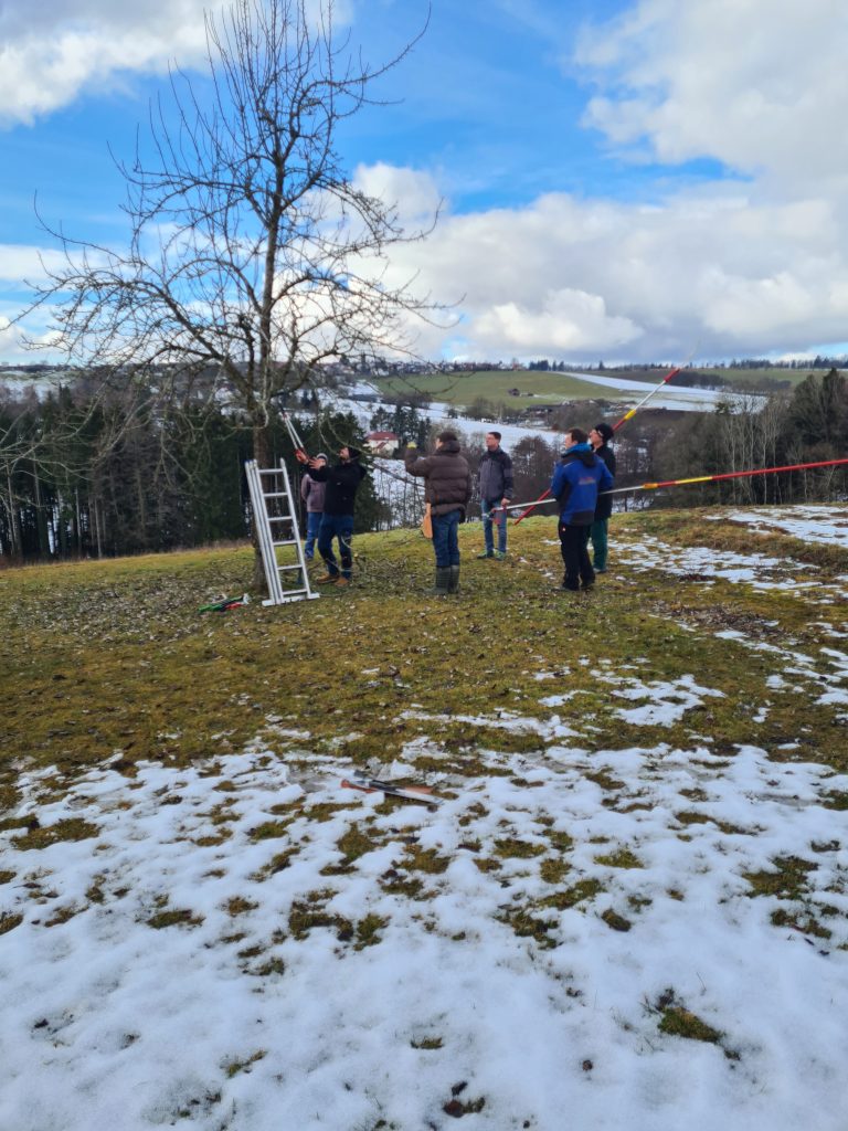 Obstbaumschnitt-Kurs